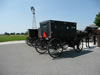 Amish Buggies